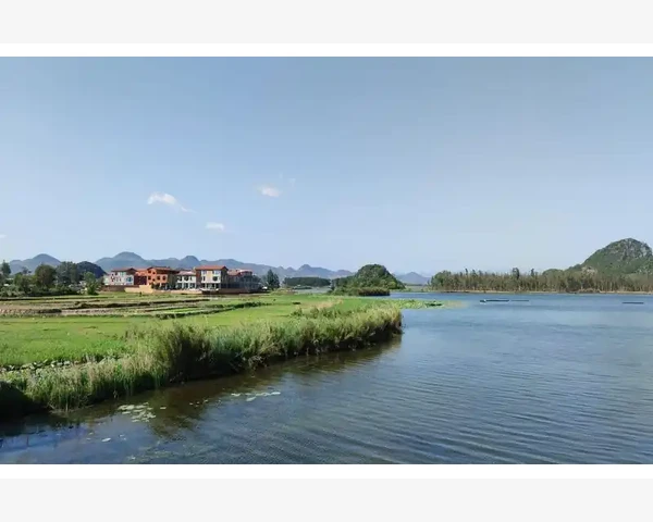 调脾胃强体魄，七天粥食谱养出健康好身体